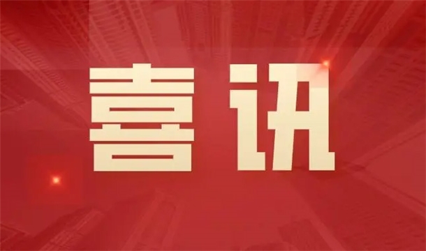 喜讯|中国有限公司官网股份HP-1200T型全自动仿石砖生产线入选2021年度福建省工业和信息化重点新产品推广目录（第一批）